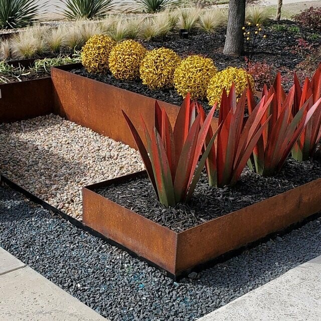 Hot Sales50% Off-Red Tequila Agave-Perfect for garden