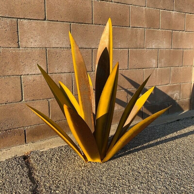 Hot Sales50% Off-Red Tequila Agave-Perfect for garden