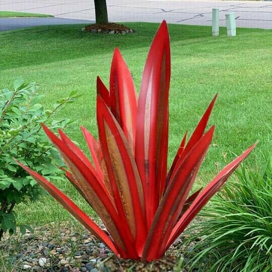 Hot Sales50% Off-Red Tequila Agave-Perfect for garden
