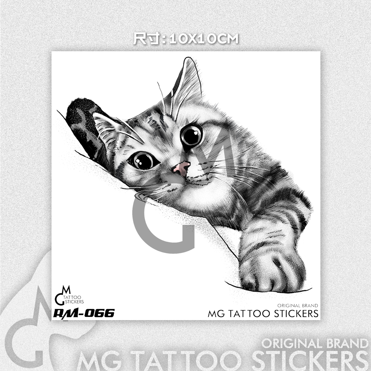 cute cat