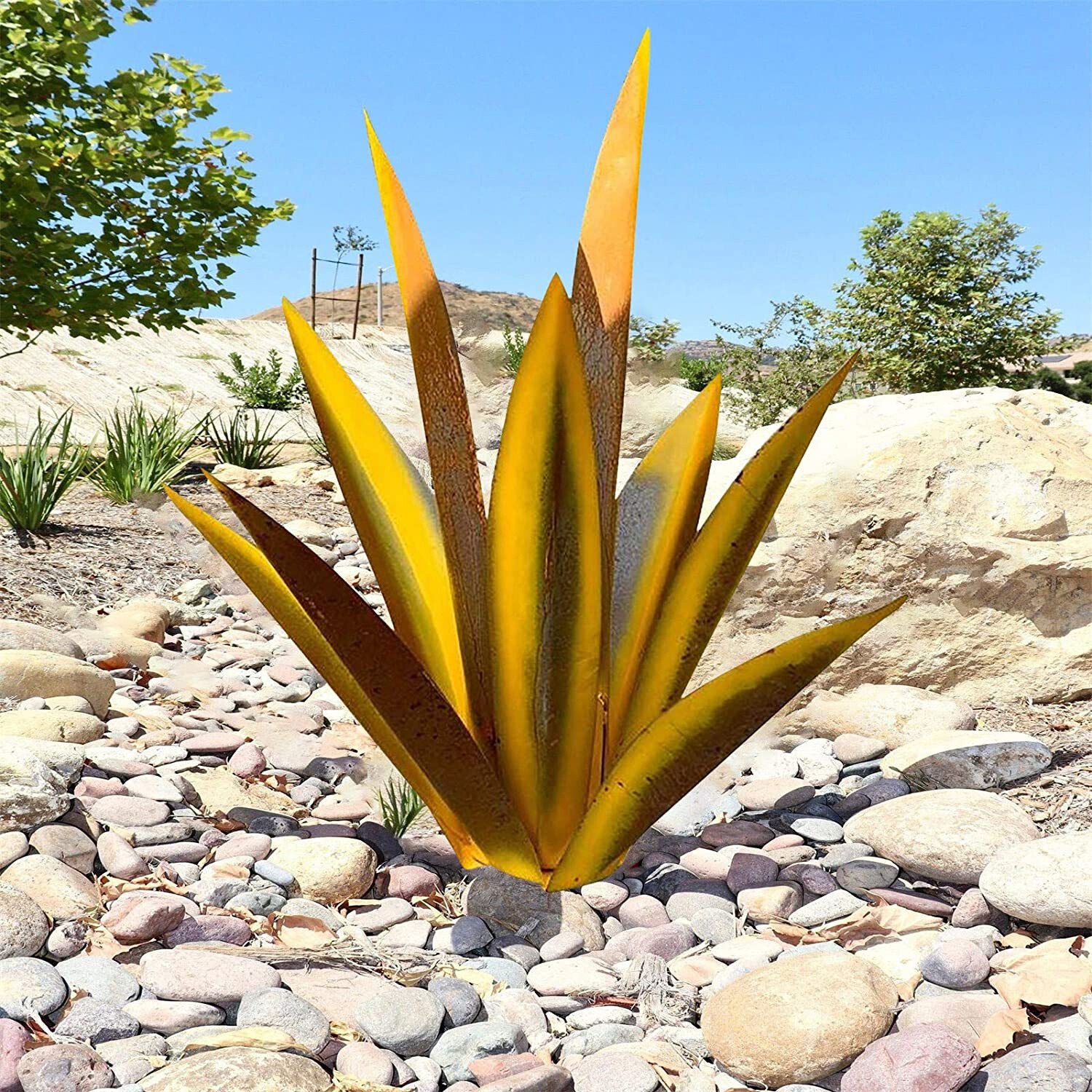 Hot Sales50% Off-Red Tequila Agave-Perfect for garden