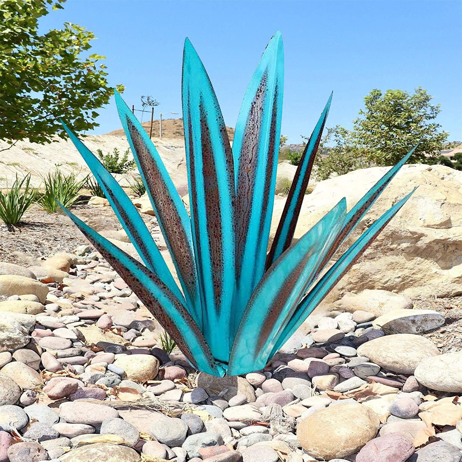 Hot Sales50% Off-Red Tequila Agave-Perfect for garden