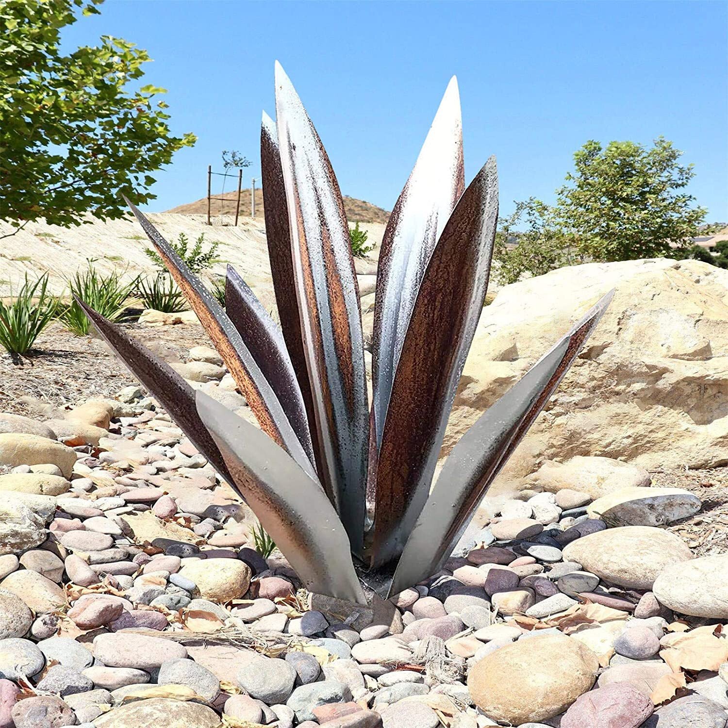 Hot Sales50% Off-Red Tequila Agave-Perfect for garden