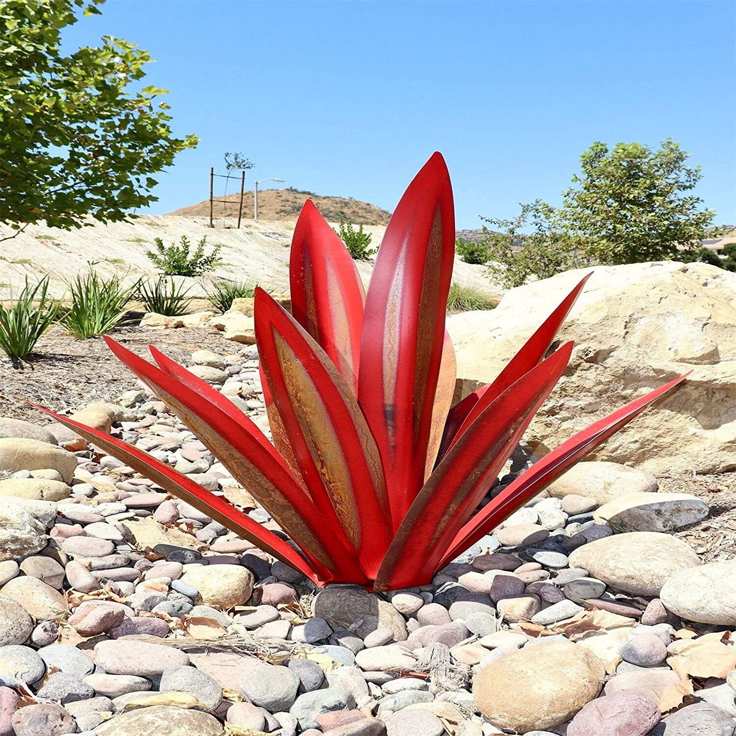 Hot Sales50% Off-Red Tequila Agave-Perfect for garden
