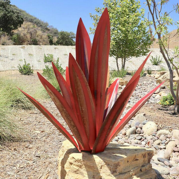 Hot Sales50% Off-Red Tequila Agave-Perfect for garden