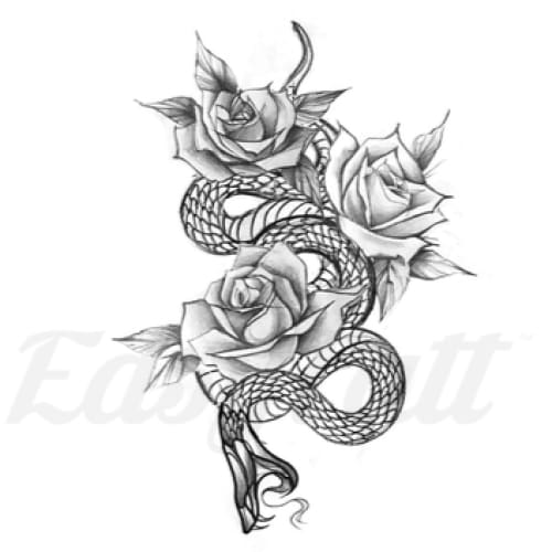 Fierce Snake and Roses