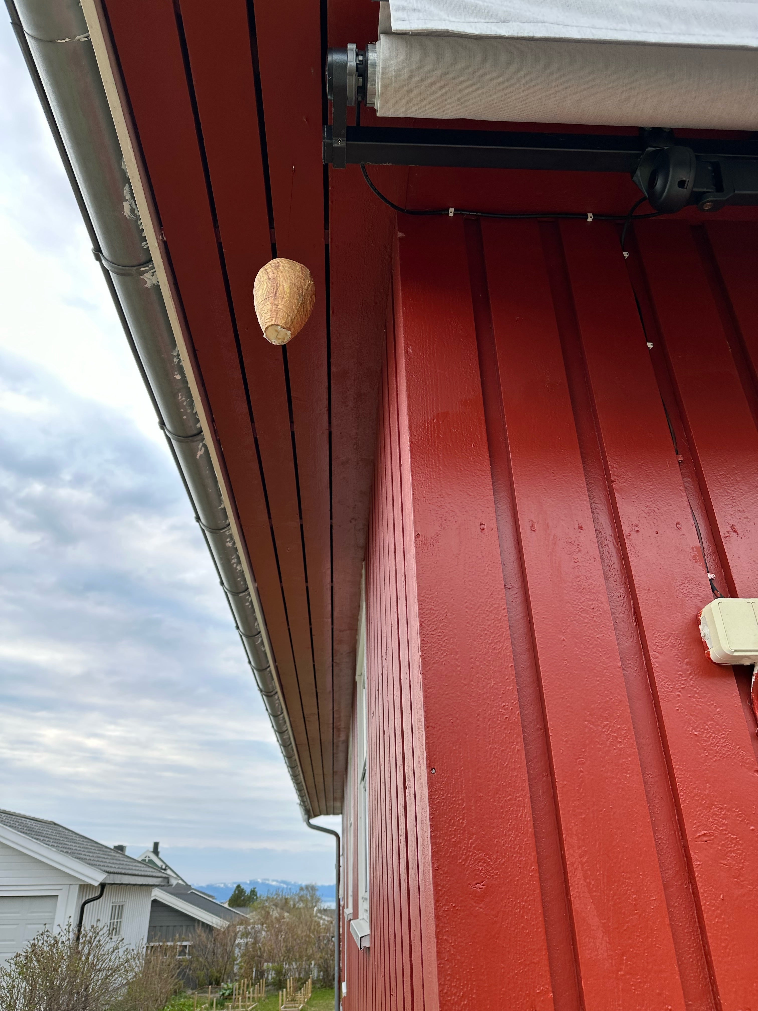 FAKE WASP NEST (WATER AND WEATHER RESISTANT) - GET RID OF WASPS