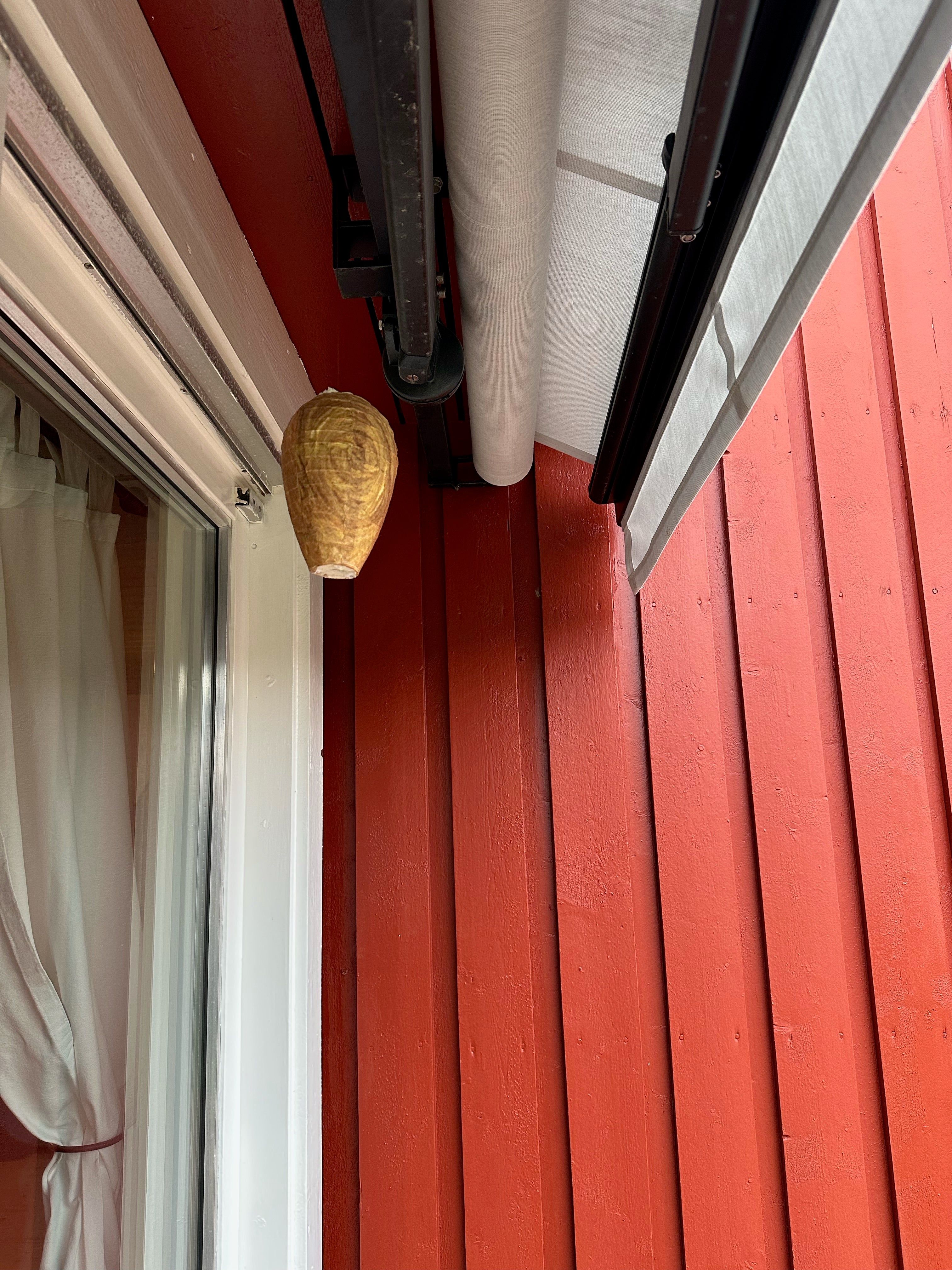 FAKE WASP NEST (WATER AND WEATHER RESISTANT) - GET RID OF WASPS