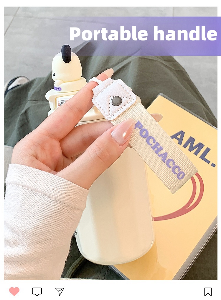 480ml/17oz Stainless Steel Insulated Water Bottle