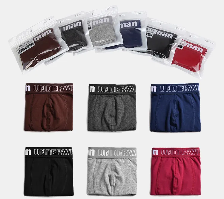 8193504323_1434965120