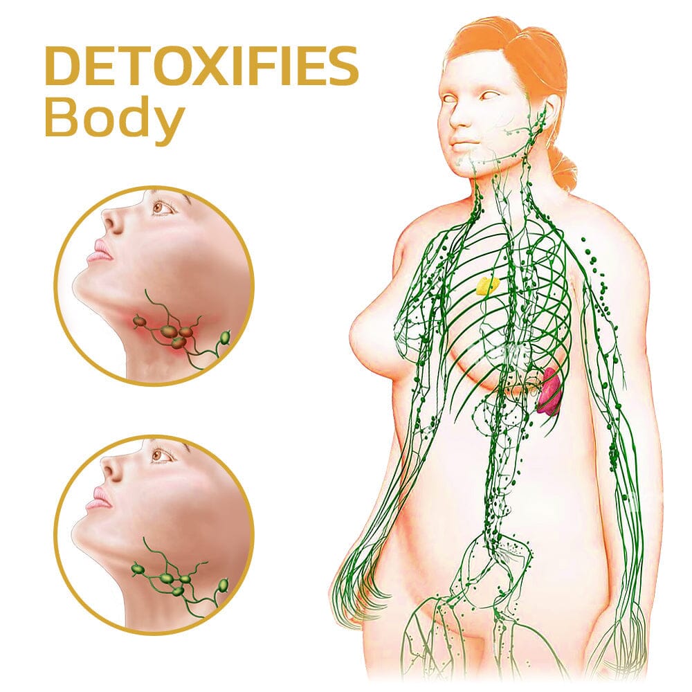 GFOUK &trade; &Omicron;&upsilon;&rho;ά&nu;&iota;&omicron; &tau;ό&xi;&omicron; &Tau;&omicron;&upsilon;&rho;&mu;&alpha;&lambda;ί&nu;&eta; Lvmphvity &kappa;&alpha;&theta;&alpha;&rho;&iota;&sigma;&mu;&omicron;ύ Spin Ring