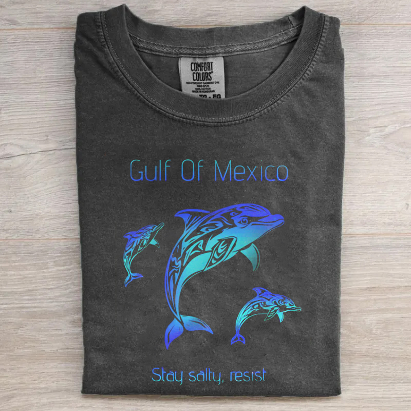 Comfort Colors Gulf of Mexico T-shirt
