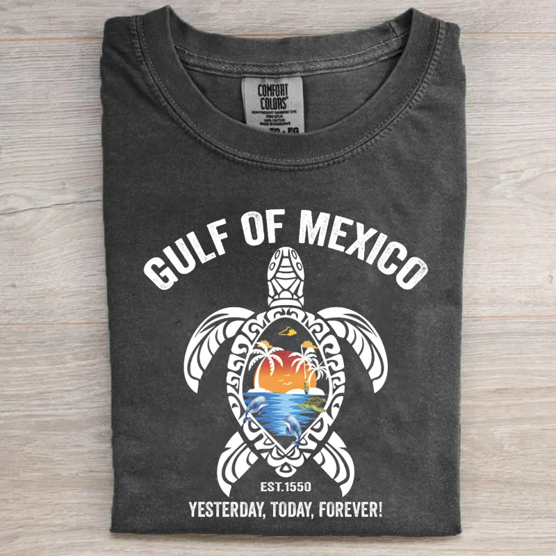 Comfort Colors Gulf of Mexico T-shirt
