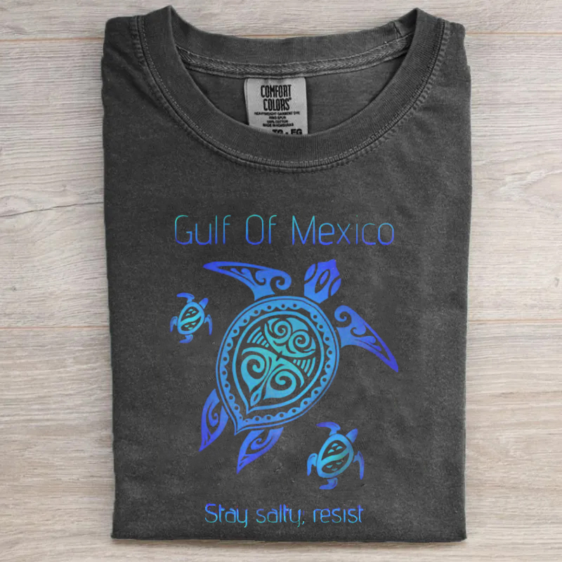 Comfort Colors Gulf of Mexico T-shirt