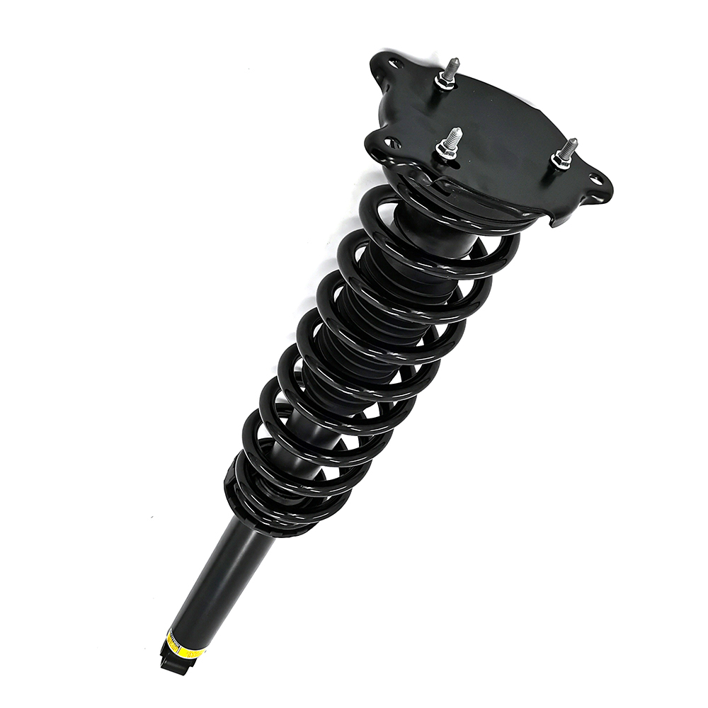 2Pcs Rear Shock Absorber Coil Spring Struts for Tesla Model S 2011-2016 RWD&AWD 