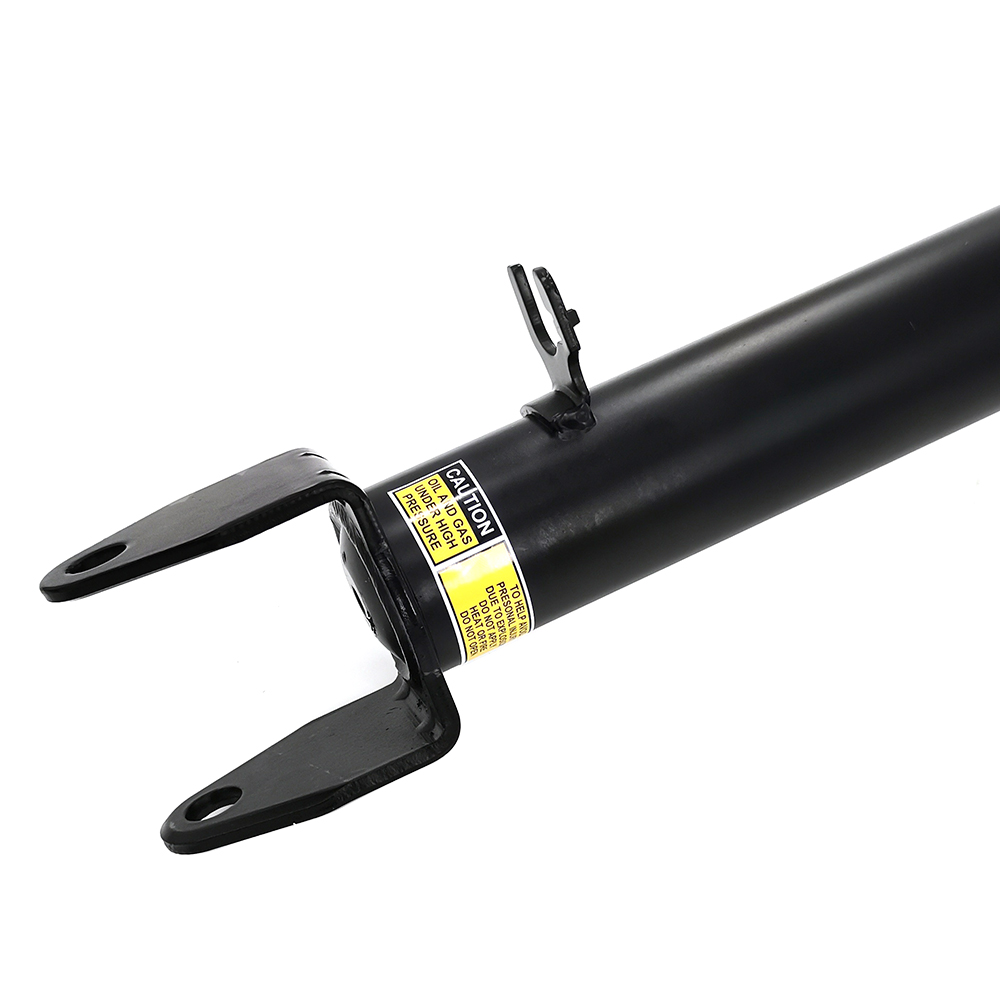 2X Front Shock Struts Assembly Coil Spring for Tesla Model S 2011-2016 S3  RWD