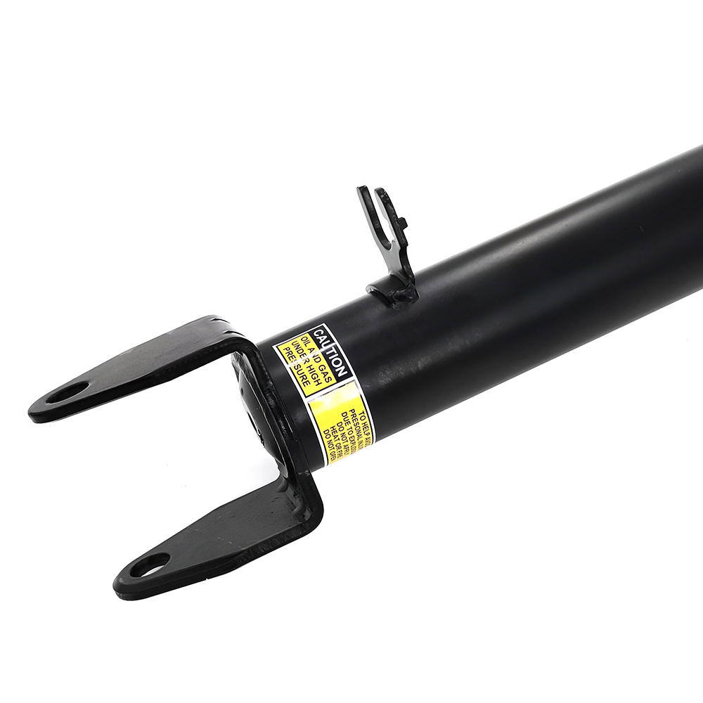 2X Front Shock Struts Assembly Coil Spring for Tesla Model S 2011-2016 S3  RWD