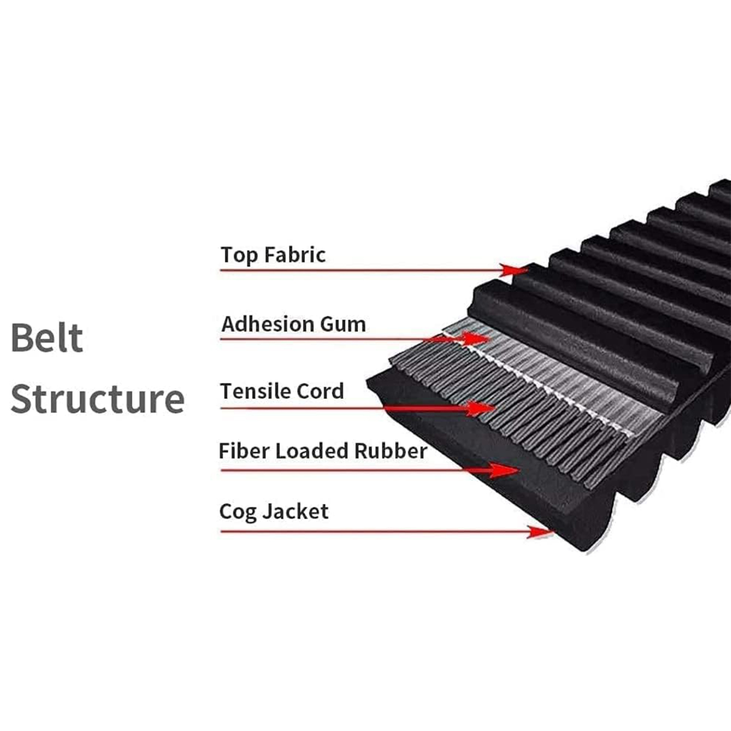 FLIBEN AutoCan-Am,drive belt