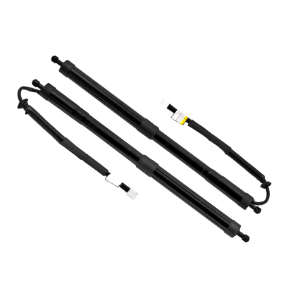 2Pcs Rear Left & Right Gate Liftgate Trunk Strut Compatible with Lexus RX350L RX450hL 2018-2022