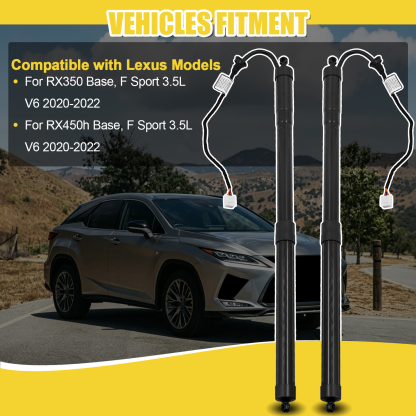 Rear Left & Right Tailgate Power Hatch Lift Support Shock Strut Fits for Lexus RX350 RX450h 2020-2022 #689200E060