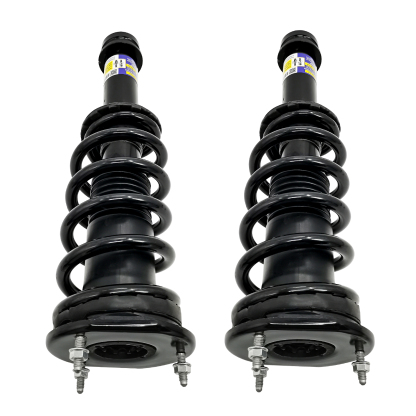 2PCS Front Shock Struts Assys for 2015-2019 Tesla Model S AWD Dual Motor 1030607-01-A
