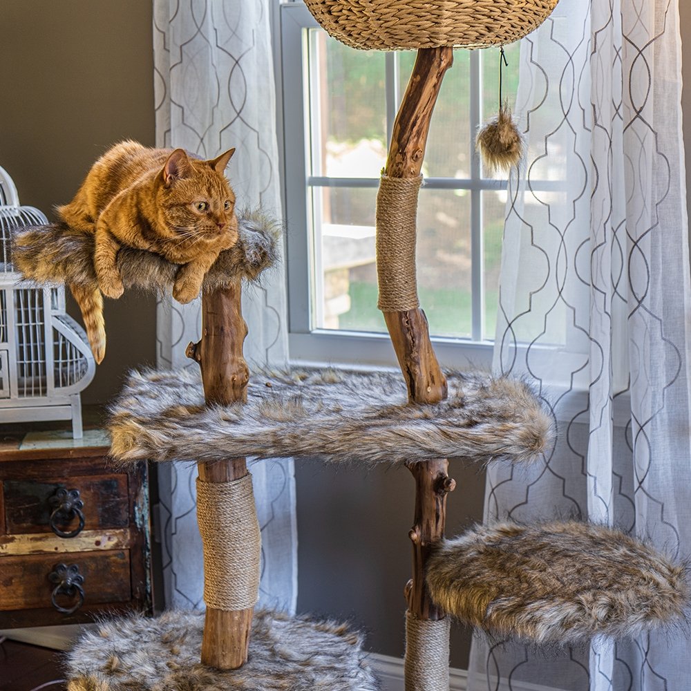 Tree branch hotsell cat tree