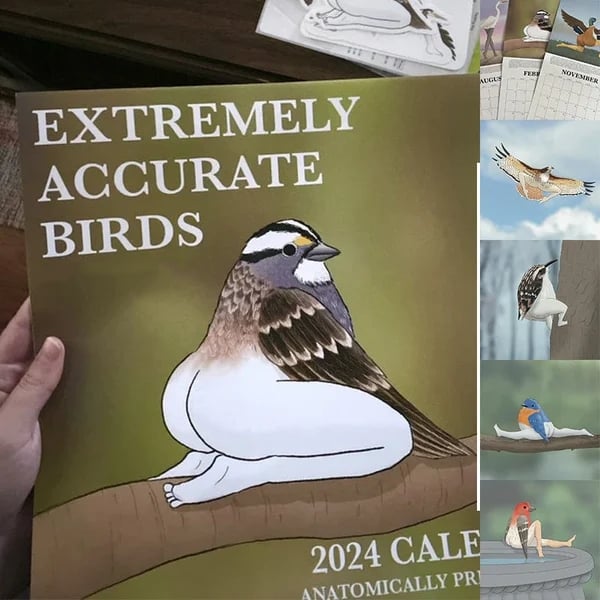 2024 Calendar Of Extremely Accurate Birds   89b66010f9b41aa99f693f13bfff514156485797 