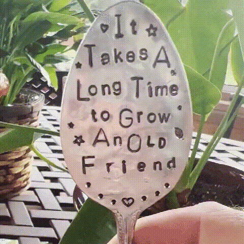 🔥Black Friday Hot Sale🎁Garden Marker Friendship Gift🍴