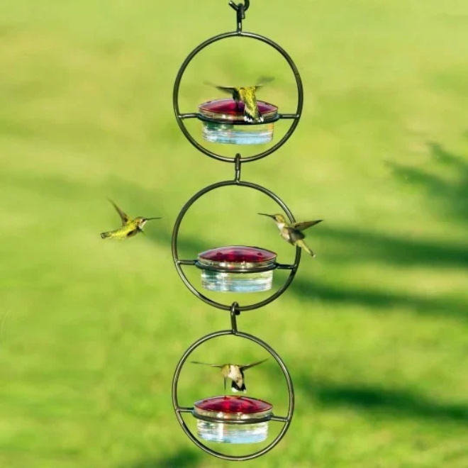 🐦Hummble Slim Hummingbird Feeder