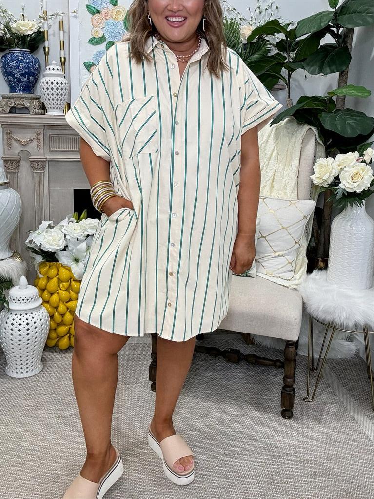 Women's Striped Button Down Shirt Dress (Buy 2 Free Shipping)