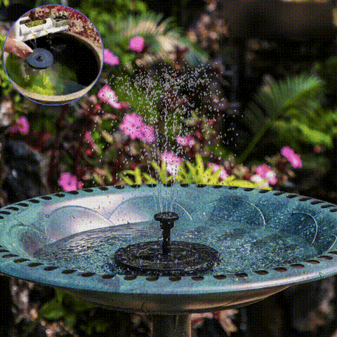 ✨Solar Water Fountain💦