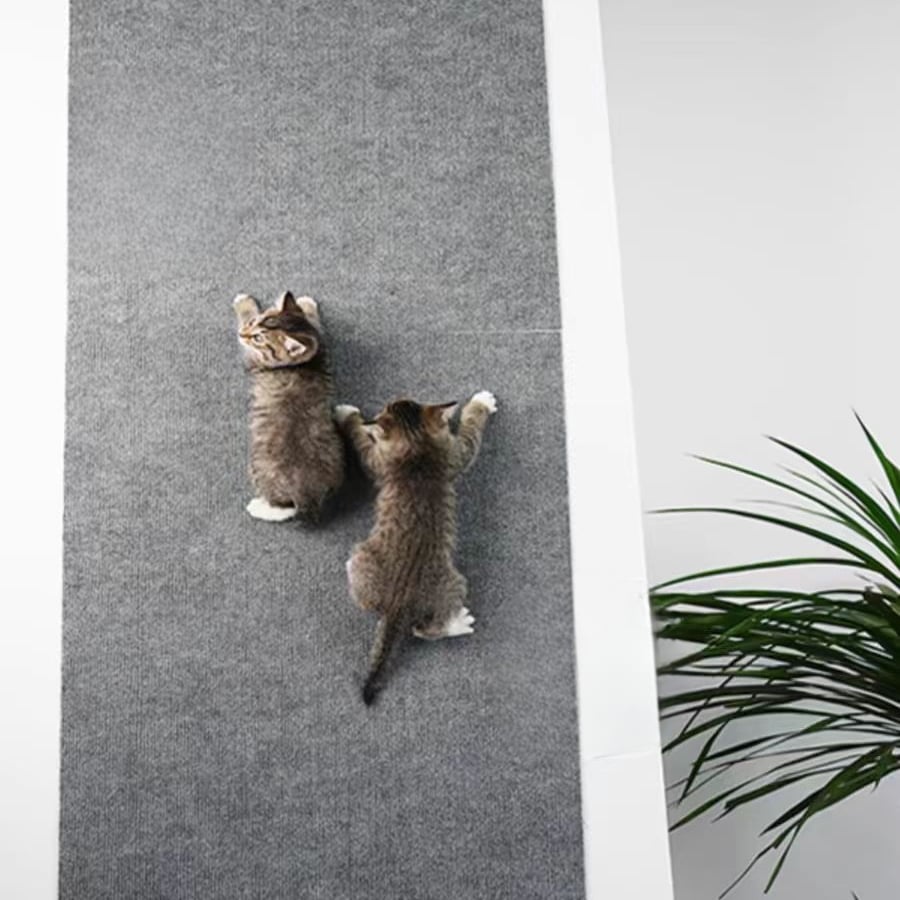 🐱DIY Climbing Cat Scratcher Furniture Cover✨