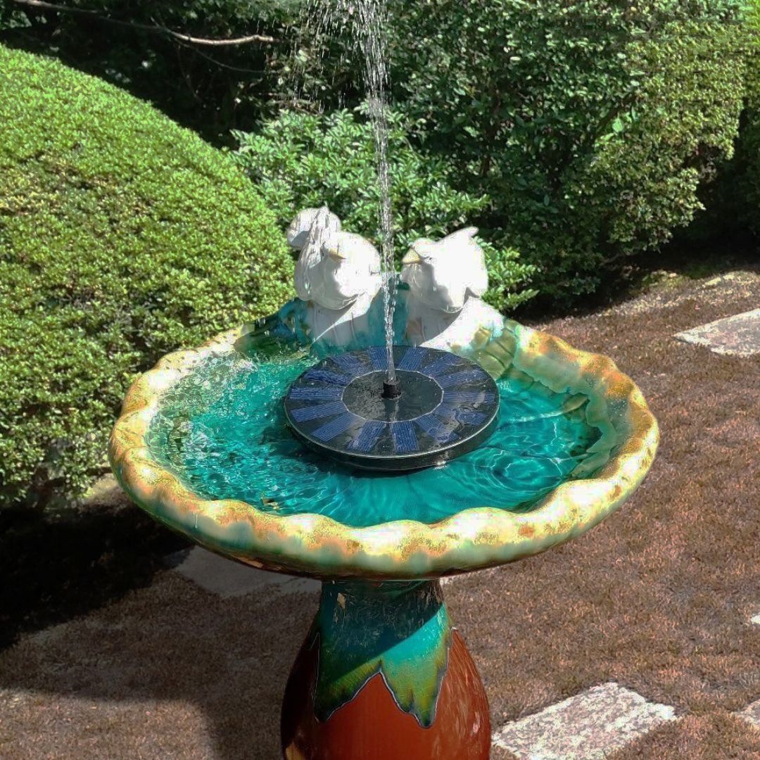✨Solar Water Fountain💦