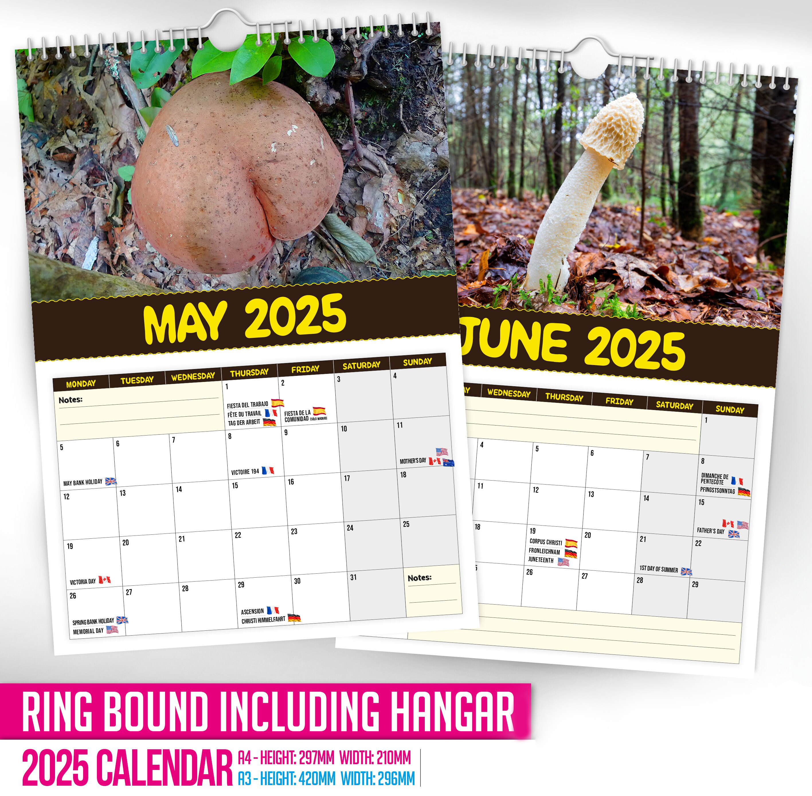 🍄World's Greatest Mushrooms🤣 - 2025 Wall Calendar📅