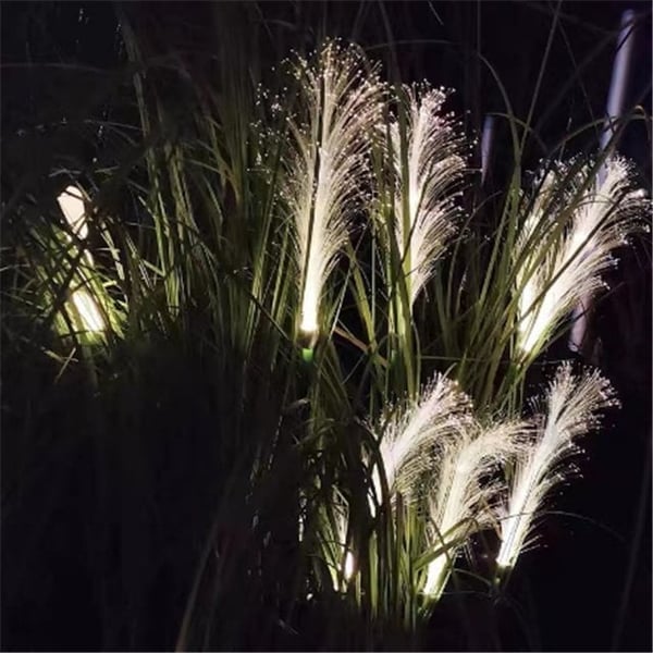 💥LAST DAY 48% OFF🔥Reed Fiber Optic Light