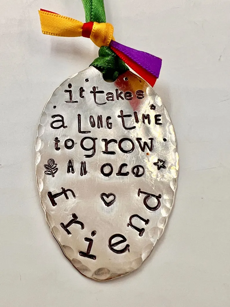 Early Christmas Sale 50% Off-Friendship Gift