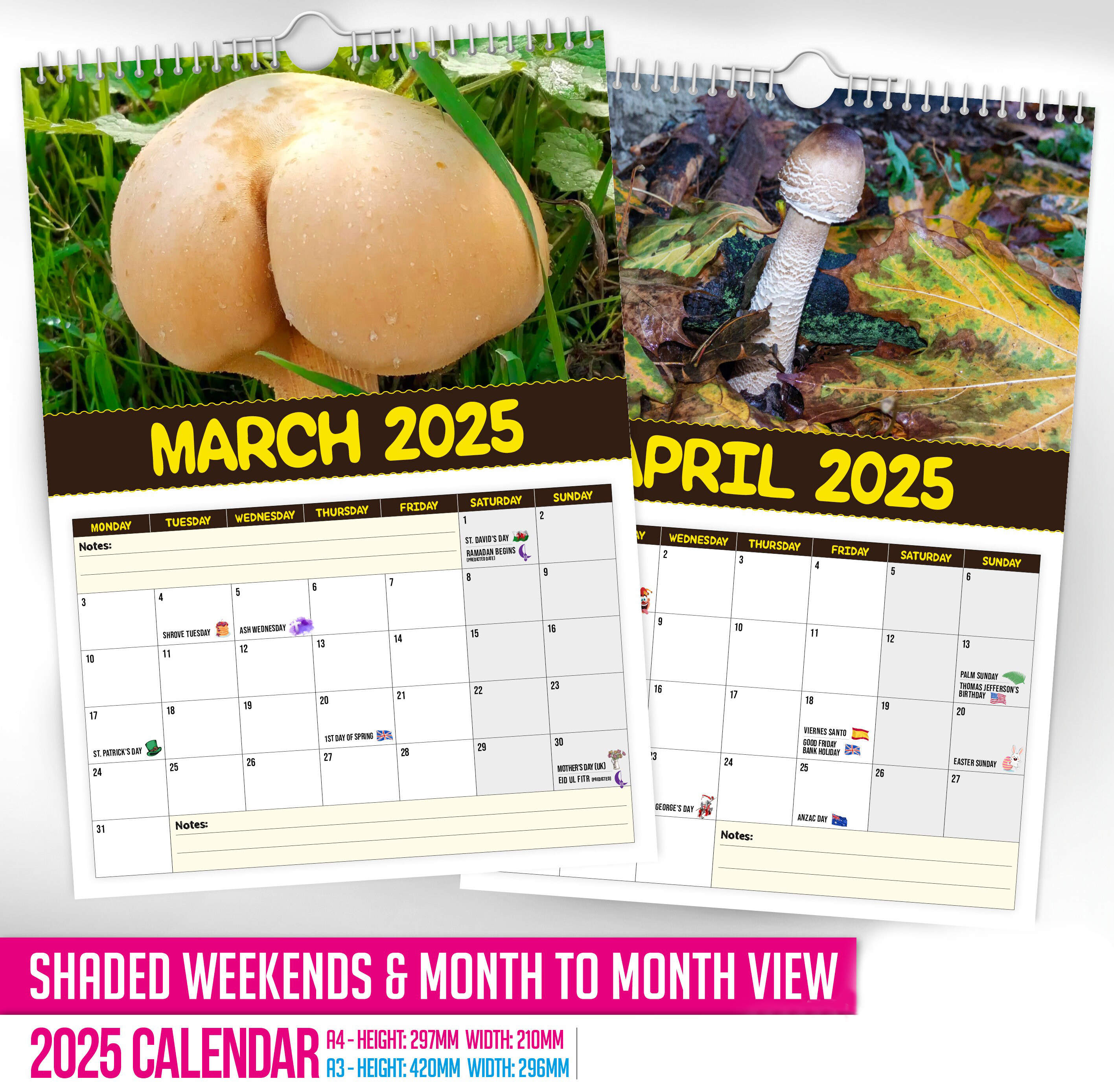 🍄World's Greatest Mushrooms🤣 - 2025 Wall Calendar📅