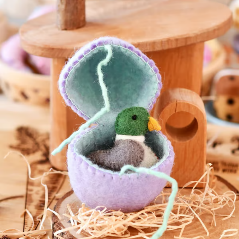 🐣2025 New Easter Arrivals - Surprise Easter Egg from Wool Felt