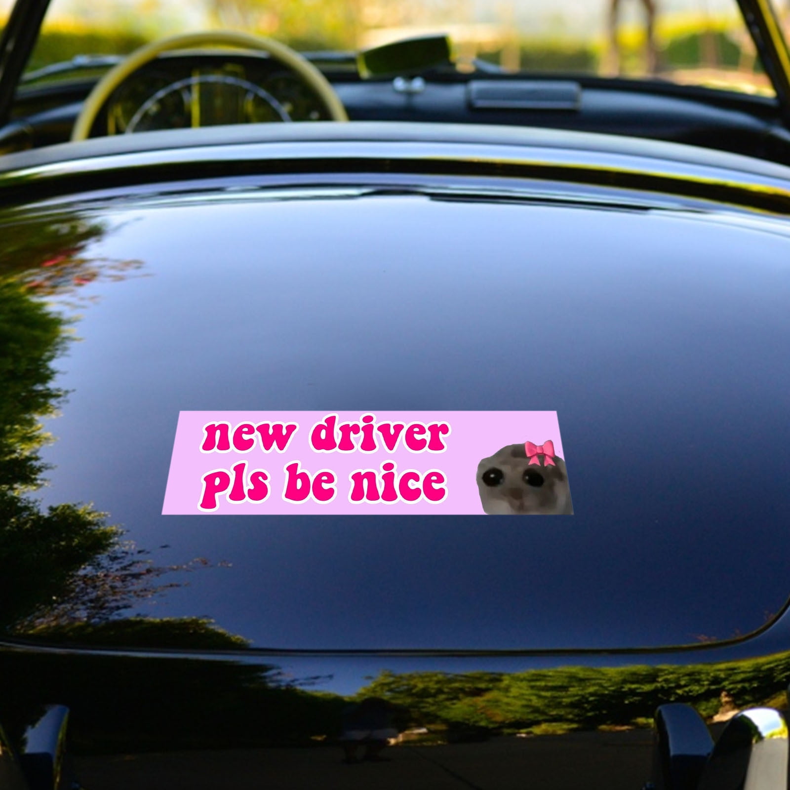 Funny Car Magnet Stickers - New Driver Please Be Nice 