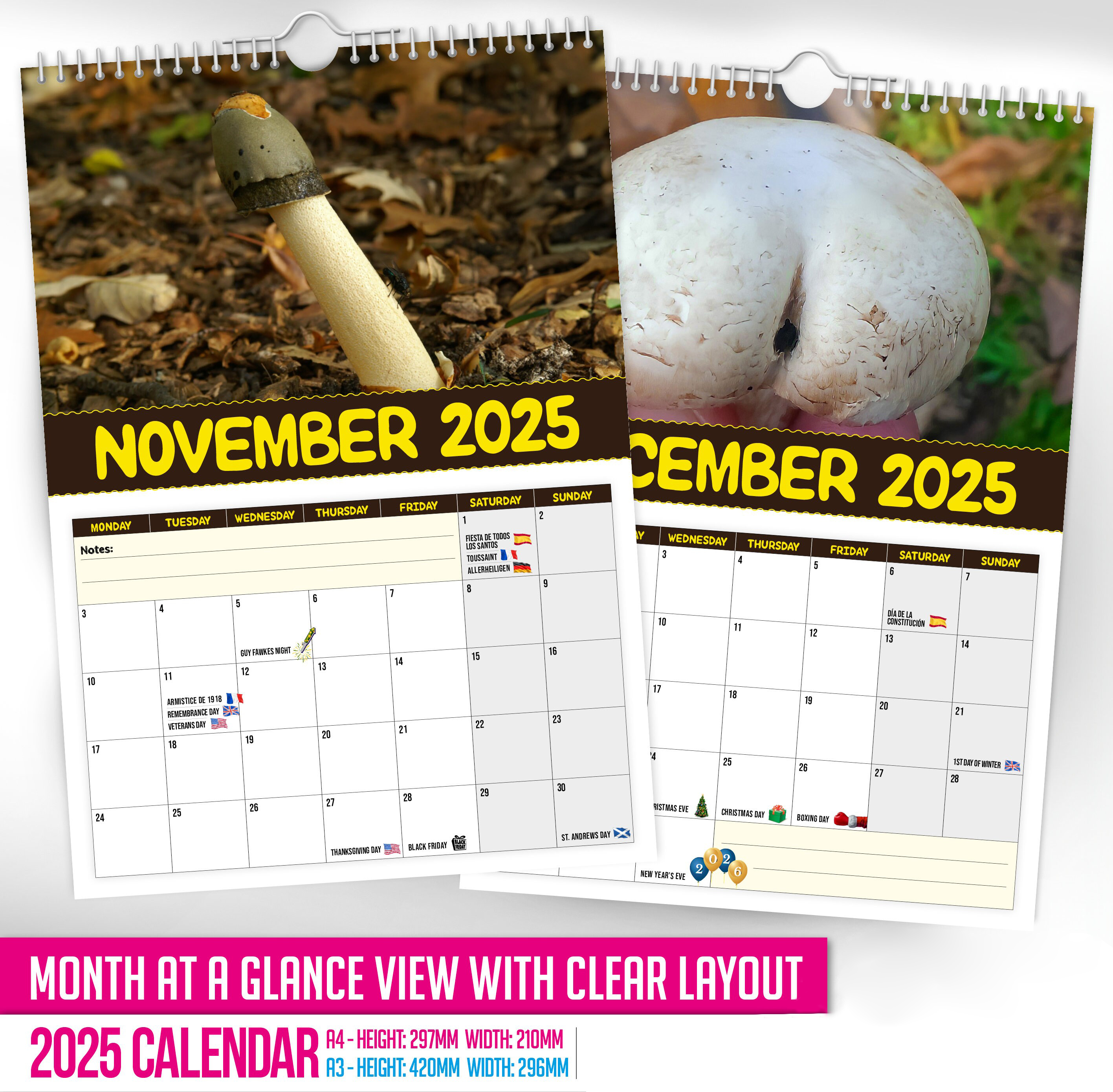 🍄World's Greatest Mushrooms🤣 - 2025 Wall Calendar📅