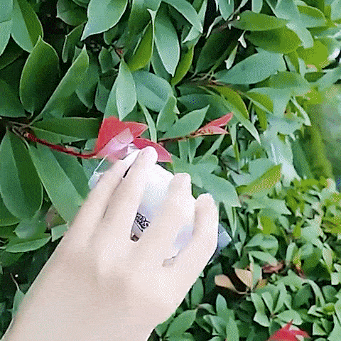 Pocket Microscope gif 1 Pocket Microscope gif 1