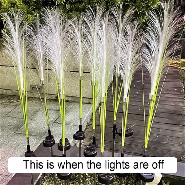 💥LAST DAY 48% OFF🔥Reed Fiber Optic Light