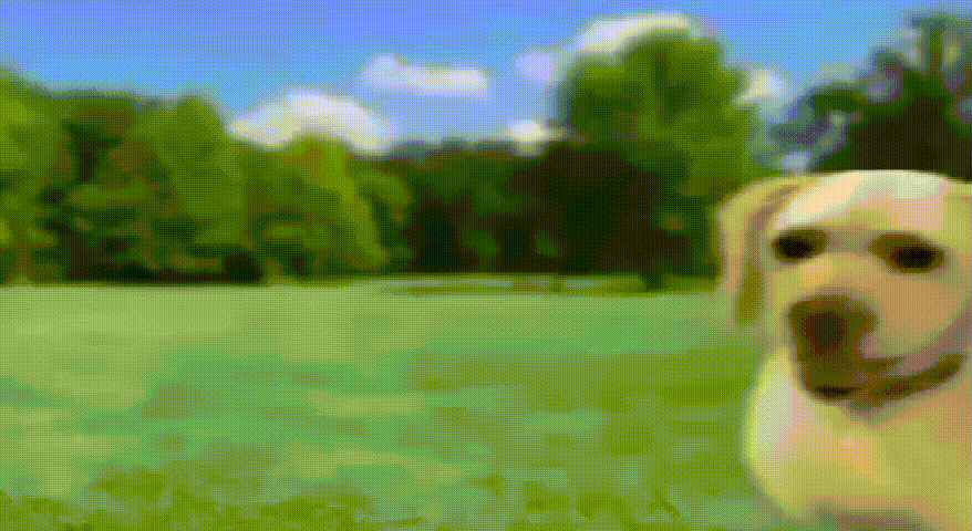 詳ę
_05.gif 詳ę
_05.gif