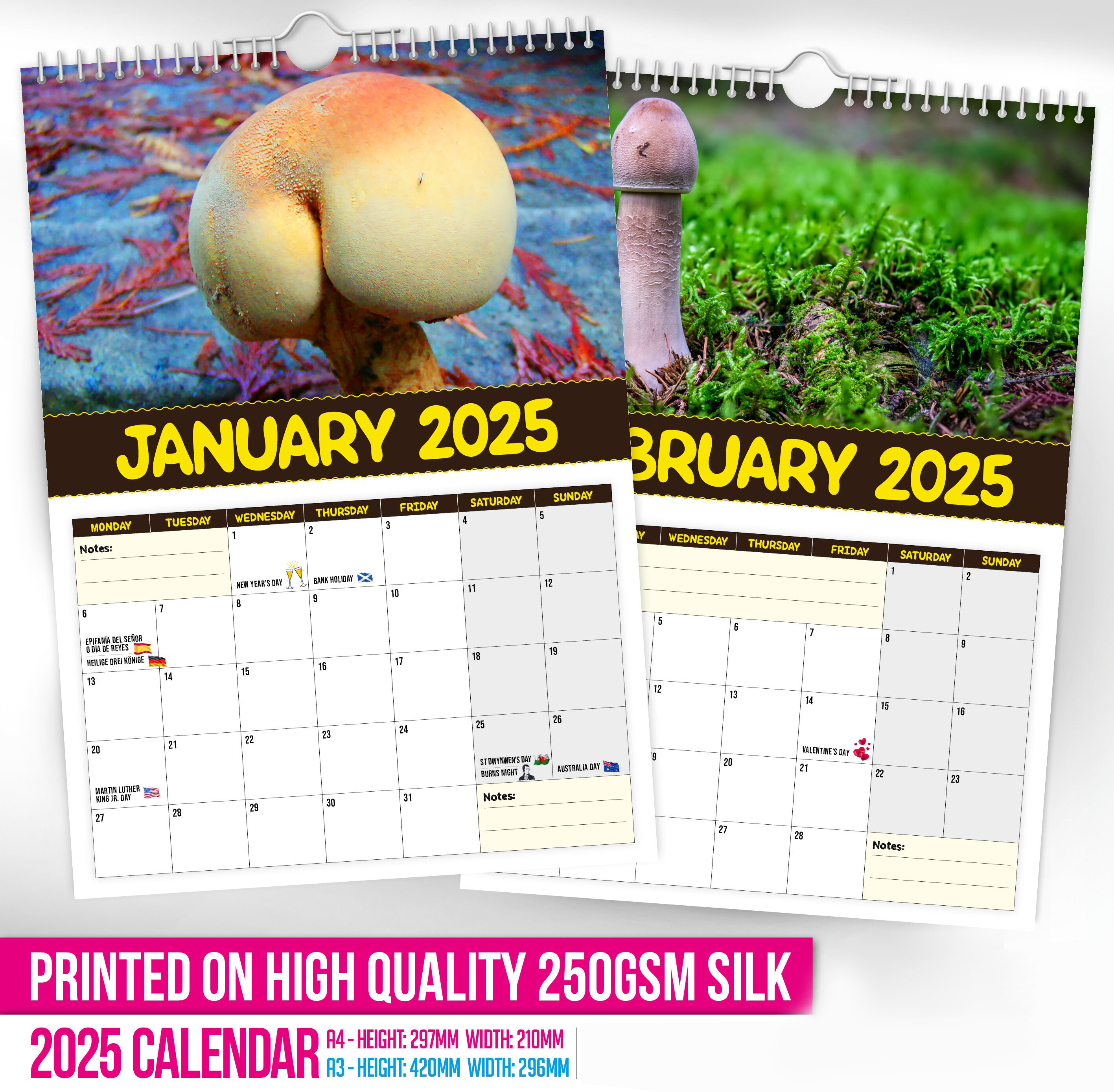 🍄World's Greatest Mushrooms🤣 - 2025 Wall Calendar📅