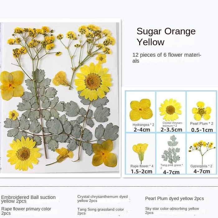 💐Transparent Dried Flower Bookmarks(40 PCS) 