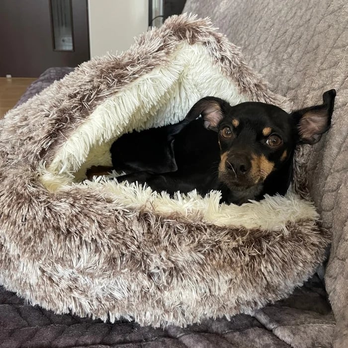 🐶😺 Cozy Cave - Premium Pet Bed 💥