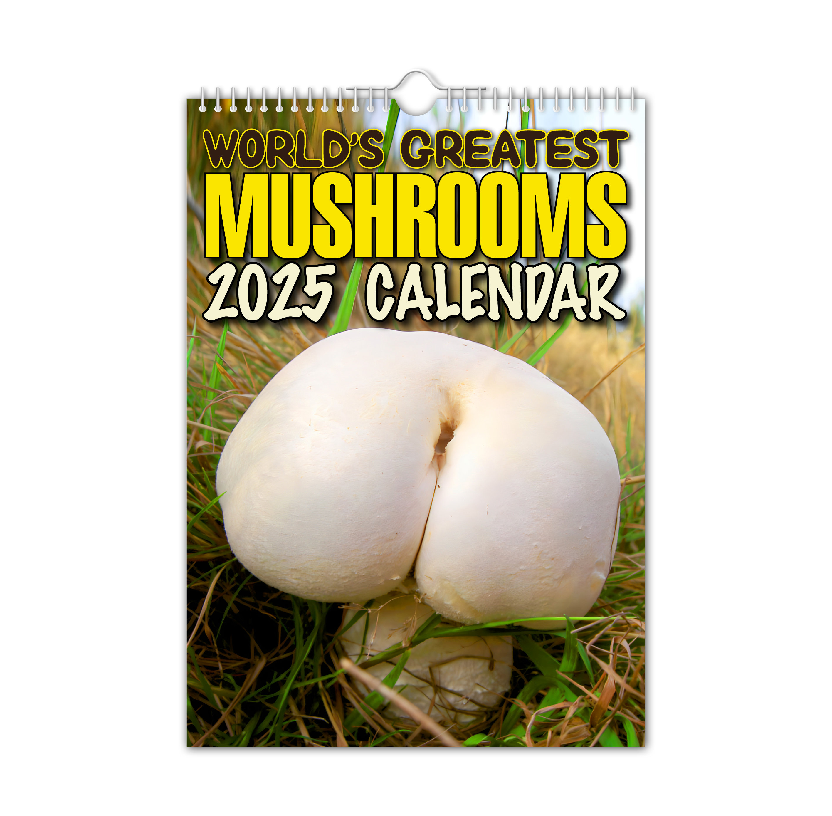🍄World's Greatest Mushrooms🤣 - 2025 Wall Calendar📅