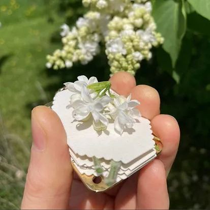 Micro Flower Press