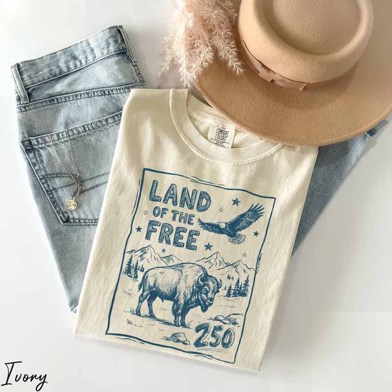 USA 250 Vintage America Shirt