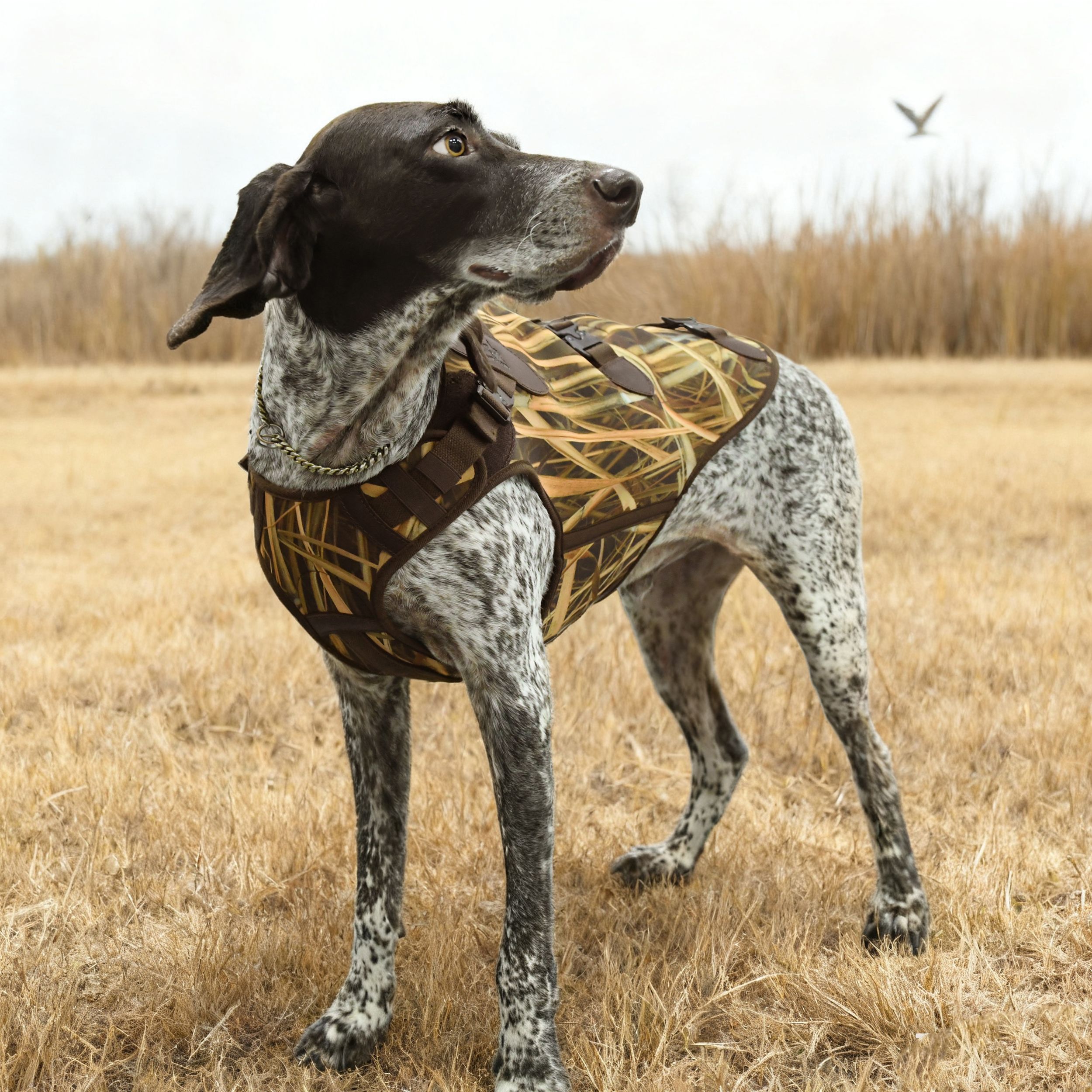 Hunting Tactical Dog Harness Adjustable Dog Vest - Camouflage Neoprene